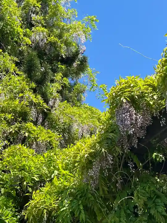 相馬神社(北海道)