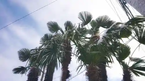 尾張大國霊神社（国府宮）の景色