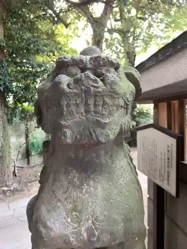 戸越八幡神社の狛犬