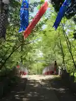 山中浅間神社の{uncategorized: "未分類", other: "その他", undefined: "問題あり", building: "その他建物", grave: "お墓", sacred_gate: "鳥居", guardian: "狛犬", statue: "像", buddha: "仏像", history: "歴史", nature: "自然", garden: "庭園", animal: "動物", pagoda: "塔", temizu: "手水舎", mountain_gate: "山門・神門", sanctuary: "本殿・本堂", subordinate: "末社・摂社", art: "芸術", scenery: "景色", jizo: "地蔵", ema: "絵馬", goshuin: "御朱印", omikuji: "おみくじ", items: "授与品その他", amulet: "お守り", goshuincho: "御朱印帳", eats: "食事", festival: "お祭り", votive_dance: "神楽", shichigosan: "七五三参", wedding: "結婚式", experience: "体験その他", initially: "初詣", around: "周辺", anti_infection: "感染症対策"}