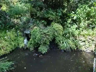 大綱金刀比羅神社(神奈川県)