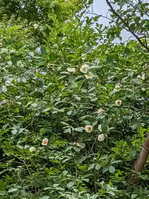 東林院(京都府)