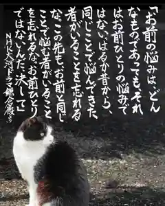 専念寺(大阪府)(2022年09月15日(木) 19時36分56秒投稿)