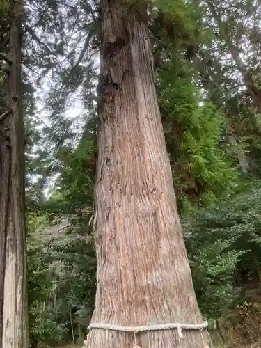 大舩神社（八百津町）(岐阜県)