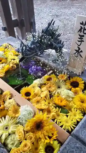 札幌諏訪神社の手水