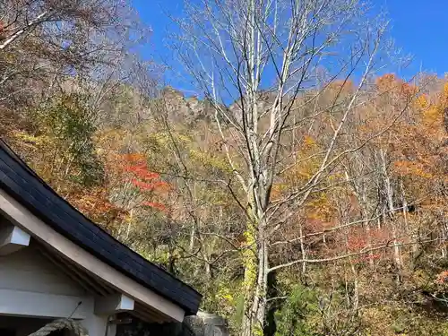 戸隠神社奥社(長野県)