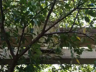 雉子神社(東京都)