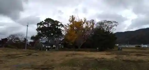 國分寺（国分寺）の周辺