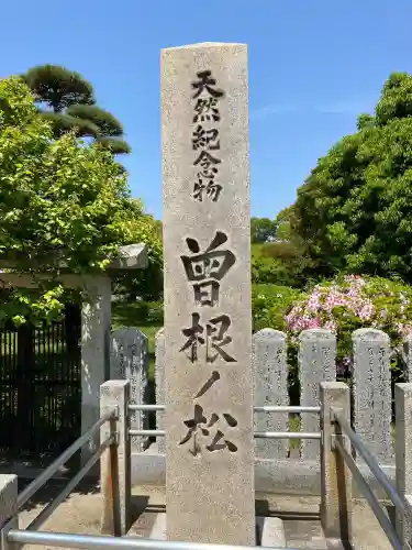 曽根天満宮(兵庫県)