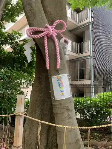 伊和志津神社(兵庫県)