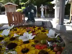 立志神社の手水