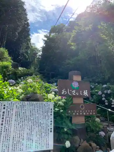 連祥院の庭園