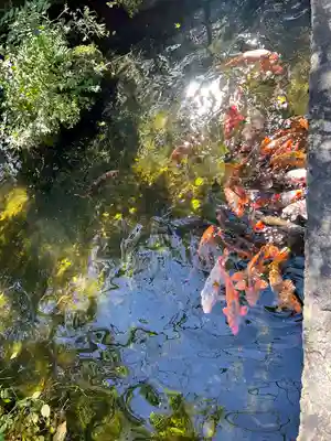 西方寺(宮城県)