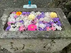 高忍日賣神社(愛媛県)