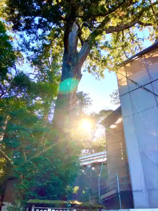 鹿島神宮(茨城県)