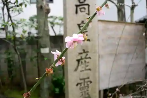 高木神社の自然