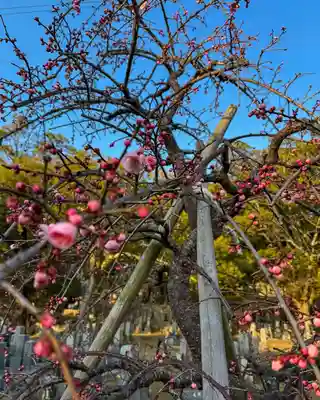 伊勢の国 四天王寺(三重県)