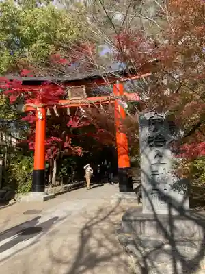 宇治上神社の鳥居