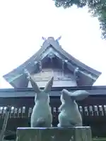 出雲大社の狛犬
