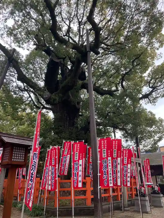 住吉大社(大阪府)