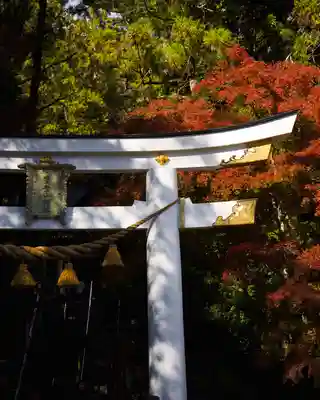 宝登山神社(埼玉県)