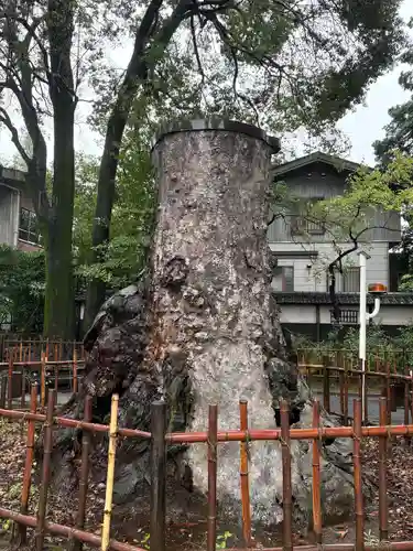 武蔵一宮氷川神社(埼玉県)