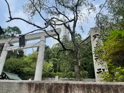 乃木神社の鳥居