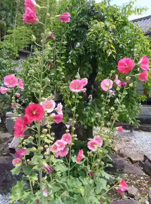 居神神社(神奈川県)