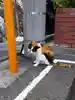 勘太ママさんのプロフィール画像