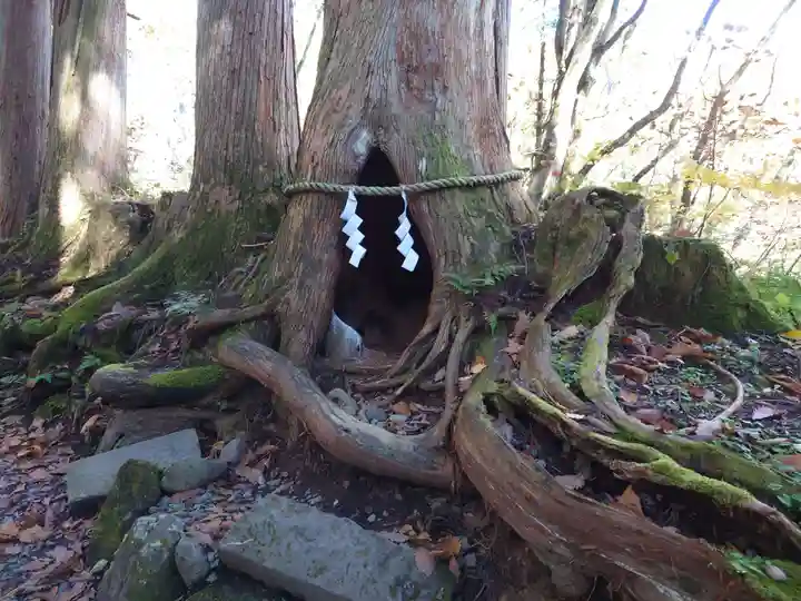 戸隠神社奥社(長野県)