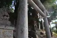 阿久津「田村神社」(郡山市阿久津町)旧社名:伊豆箱根三嶋三社の狛犬