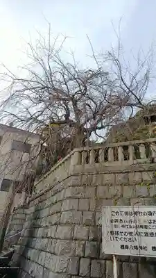 根岸八幡神社の歴史