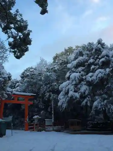 賀茂御祖神社（下鴨神社）の景色