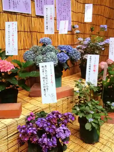 十番稲荷神社(東京都)