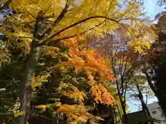 手長神社(長野県)