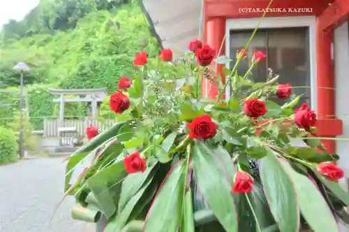 元町厳島神社(神奈川県)