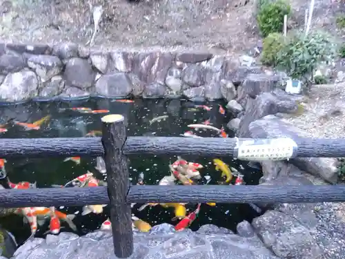 大野神社(滋賀県)