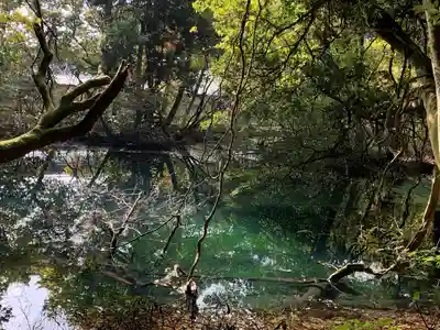 丸池神社(山形県)