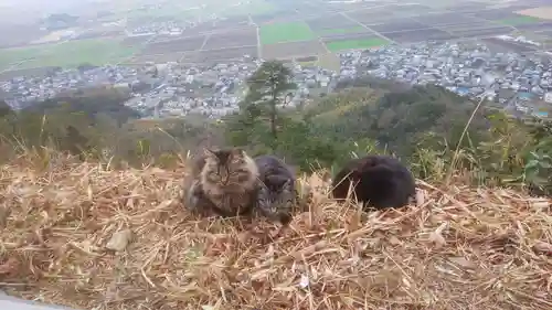 村雲御所瑞龍寺門跡(滋賀県)