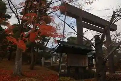 開成山大神宮の鳥居