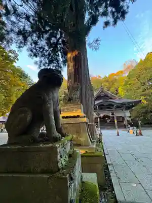 戸隠神社中社(長野県)