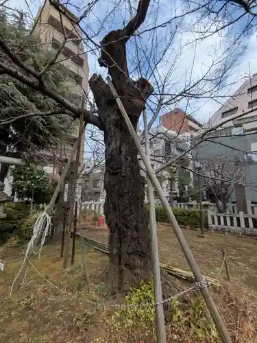湯島御霊社(東京都)