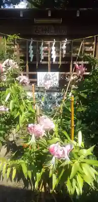 菊田神社のその他建物