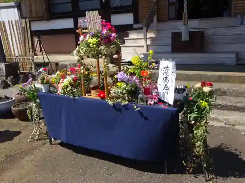 伊勢原 法泉寺の仏像