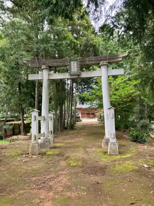 塚崎香取神社の{uncategorized: "未分類", other: "その他", undefined: "問題あり", building: "その他建物", grave: "お墓", sacred_gate: "鳥居", guardian: "狛犬", statue: "像", buddha: "仏像", history: "歴史", nature: "自然", garden: "庭園", animal: "動物", pagoda: "塔", temizu: "手水舎", mountain_gate: "山門・神門", sanctuary: "本殿・本堂", subordinate: "末社・摂社", art: "芸術", scenery: "景色", jizo: "地蔵", ema: "絵馬", goshuin: "御朱印", omikuji: "おみくじ", items: "授与品その他", amulet: "お守り", goshuincho: "御朱印帳", eats: "食事", festival: "お祭り", votive_dance: "神楽", shichigosan: "七五三参", wedding: "結婚式", experience: "体験その他", initially: "初詣", around: "周辺", anti_infection: "感染症対策"}