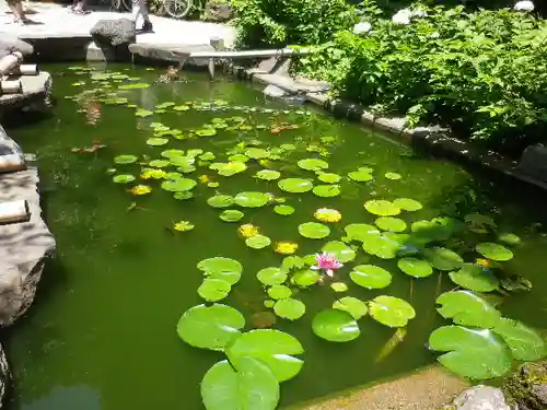 葛原岡神社の庭園