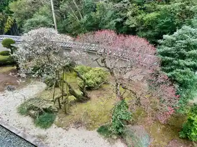 成田山平和大塔(千葉県)