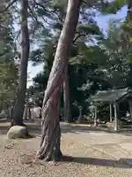 熊野神社(新潟県)
