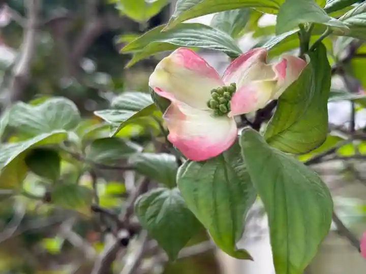 西方山極楽寺(岐阜県)