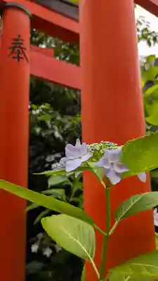 中山神社(京都府)